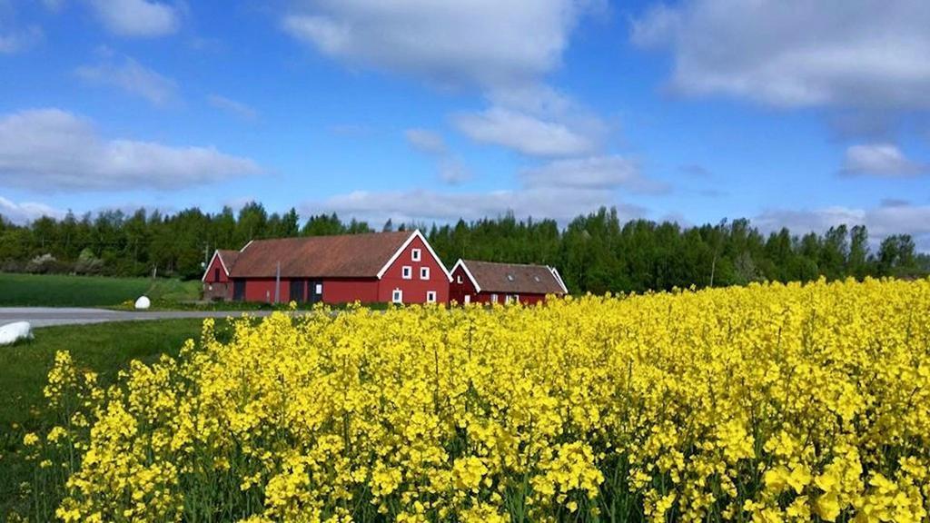 Red Bird Farm Bed and Breakfast Ystad Exterior foto